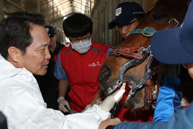 이양호 한국마사회장이 19일 재능기부 활동을 하고 있다. 마사회 제공