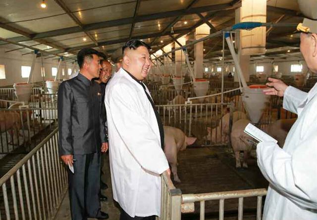 김정은 북한 노동당 위원장이 북한군 공군부대의 돼지공장을 방문해 관계자로부터 보고를 받고 있다.서울=연합뉴스