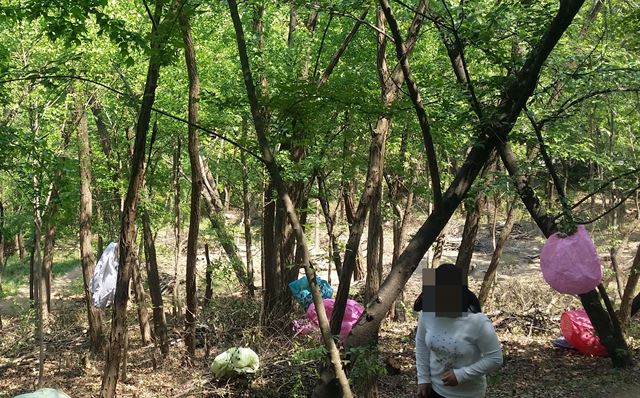 23일 오전 대구 달서구 두류공원 산책로와 야산 나무에 전날 열린 풍등축제 쓰레기가 곳곳에 걸려 있어 시민들의 눈살을 찌푸리게 하고 있다. 독자 제공