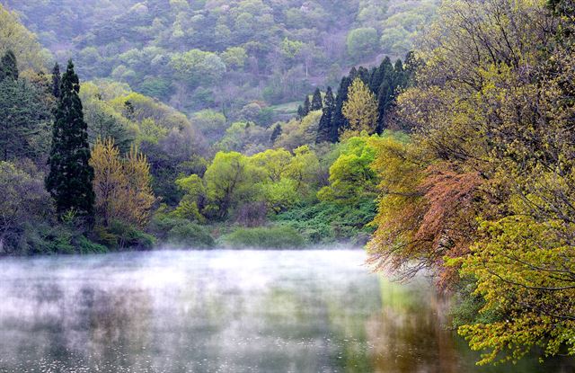 산 너머 햇살이 호수를 비추자, 고요한 호수의 표면에는 산벚꽃나무, 버드나무, 삼나무들이 투영되면서 화려한 물감을 풀어 놓은 듯 아름다운 색들이 번져나간다.