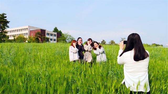 대구대 학생들이 26일 경산캠퍼스 서문 인근 청보리밭에서 기념사진을 찍고 있다. 대구대 제공