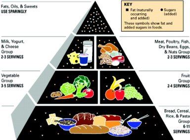 미국 농무부의 첫 '푸드 피라미드'가 1992년 4월 28일 발표됐다. healthy-eating-politics.com