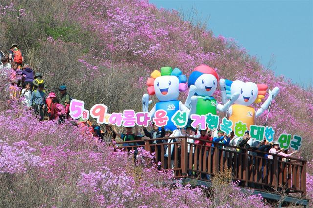 경남도선거관리위원회가 진달래가 활짝 핀 경남 창원시 의창구 천주산 정상 부근에서 선관위 홍보캐릭터를 활용한 '아름다운 대선' 캠페인을 펼치고 있다. 경남도선관위 제공