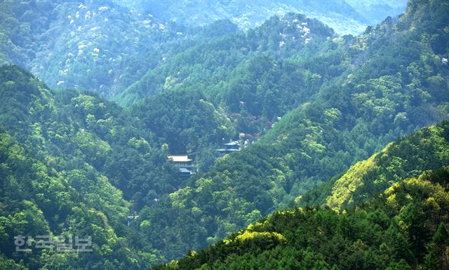 온달산성에서 본 구인사. 작은 절간처럼 보이지만 실제로는 계곡 전체에 걸쳐 있다.