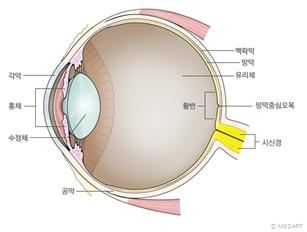 자료: 건강보험공단