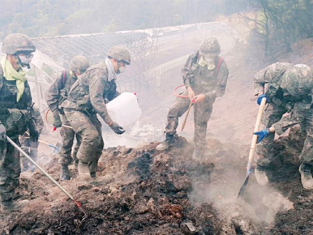 육군 제23사단 장병들이 9일 강원 삼척시 산불현장에서 막바지 진화작업을 하고 있다. 2017.5.9 육군 제23사단 제공=연합뉴스