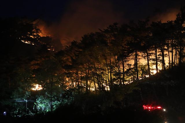 지난 8일 새뵥 강릉 성산면 어흘리 대관령박물관 인근에서 산불이 재발화해 불길이 치솟고 있다. 연합뉴스