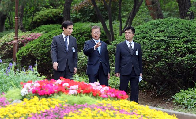 문재인 대통령이 15일 오전 거처를 청와대로 옮긴 이후 주영훈 경호실장(왼쪽), 송인배 전 더불어민주당 일정총괄팀장 등과 함께 여민관 집무실로 도보로 출근하고 있다.고영권기자