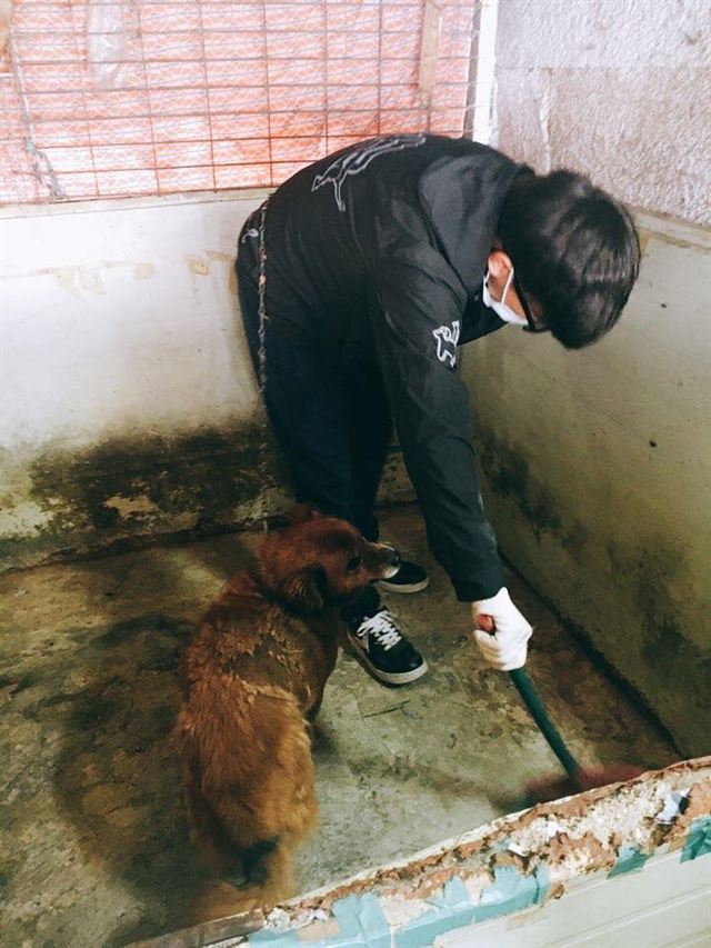 유기동물 봉사 동아리에선 정기적으로 유기동물 보호소를 찾아 청소와 배식을 하고 동물들을 산책시킨다. 건국대 쿠니멀 페이스북