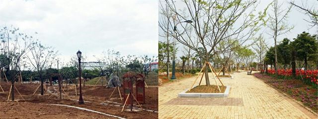 경북 구미시 낙동강변 동락공원(왼쪽)과 전남 목포 삼학도의 김대중 노벨평화상 기념관(오른쪽) 인근에 조성중인 화합의 숲. 구미시 제공