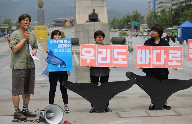 22일 오후 서울 광화문광장에서 환경운동연합 회원들이 전국 수족관 8곳에서 사육 중인 돌고래 38마리를 바다로 돌려보낼 것을 촉구하는 기자회견을 하고 있다. 연합뉴스