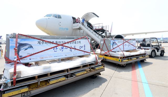 22일 오전 인천공항 아시아나항공 화물터미널에서 남방큰돌고래 금등이와 대포를 실은 수족관을 전용 화물기에 싣는 작업이 진행되고 있다. 뉴시스