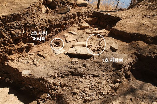 정선 매둔동굴에서 청동기시대 묻힌 것으로 추정되는 사람 뼈가 발견됐다. 문화재청 제공