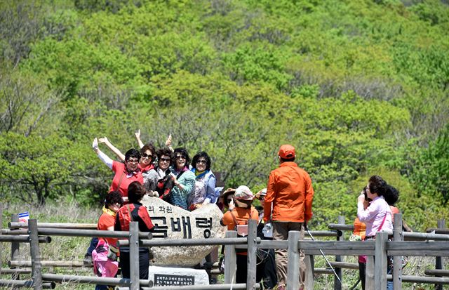 여행객들이 곰배령 정상의 표지석에서 기념 사진을 찍고 있다. 인제=최흥수기자