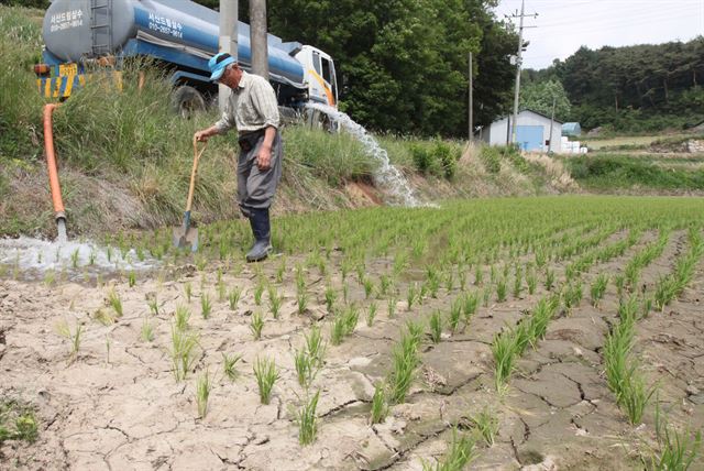 지난달 31일 계속된 가뭄으로 모내기를 마친 논이 마르고 갈라지자 충남 서산시 운산면 고풍리 한 논에 살수차를 동원해 물을 대고 있다. 연합뉴스