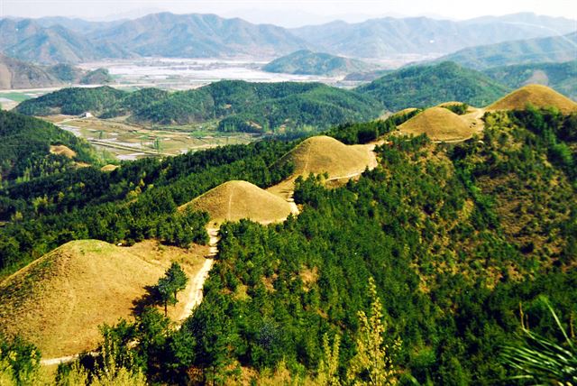 경남 고령군 지산동 주산 남쪽능선에 늘어선 가야고분군의 모습. 사적 79호다. 한국일보 자료사진