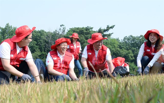 LG전자와 문화재청은 15일 경기 고양시 서오릉에서 문화유산 보호 및 홍보를 위한 후원행사를 열었다. 조성진(왼쪽에서 두번째) LG전자 부회장과 배상호(세번째) 노조위원장이 서오릉에서 잡초 제거를 하며 환하게 웃고 있다. LG전자 제공