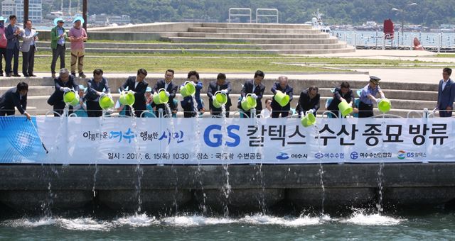 여수수산인협회ㆍ여수수협ㆍ여수시ㆍGS칼텍스 관계자들이 15일 전남 여수시 국동항 수변공원에서 열린 'GS칼텍스 수산종묘 방류 및 해양정화 행사'에 참석해 여수 바다에 감성돔 치어를 방류하고 있다. GS칼텍스 제공