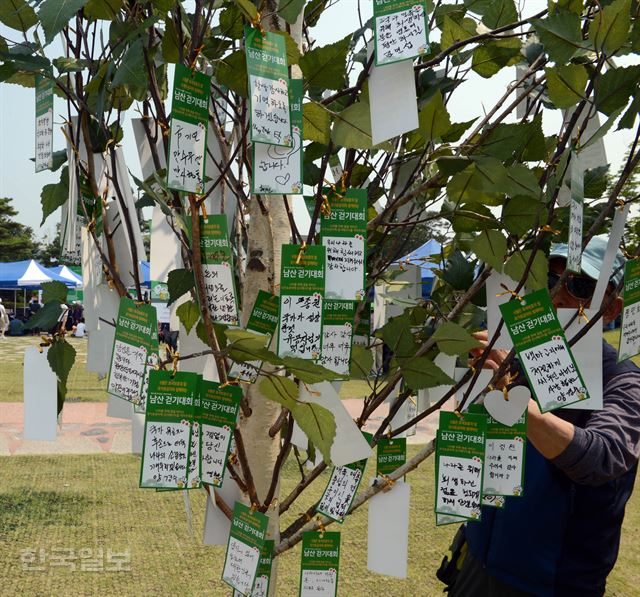 ]17일 서울 중구 남산백범광장에서 열린 제466회 한국일보 거북이마라톤 '6월은 호국보훈의 달 국가유공자와 함께하는 남산 걷기대회'에서 참가자들이 나라사랑 을 적어 넣은 스탬프를 나무에 달고 있다.2017.06.17 신상순 선임기자