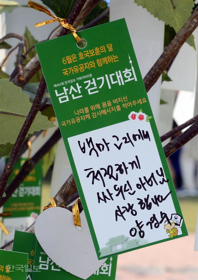 제466회 한국일보 거북이마라톤 '6월은 호국보훈의 달 국가유공자와 함께하는 남산 걷기대회'에서 나라사랑을 담은 스탬프가 나무에 달려 있다. 2017.06.17 신상순 선임기자ssshin@hankookilbo.com