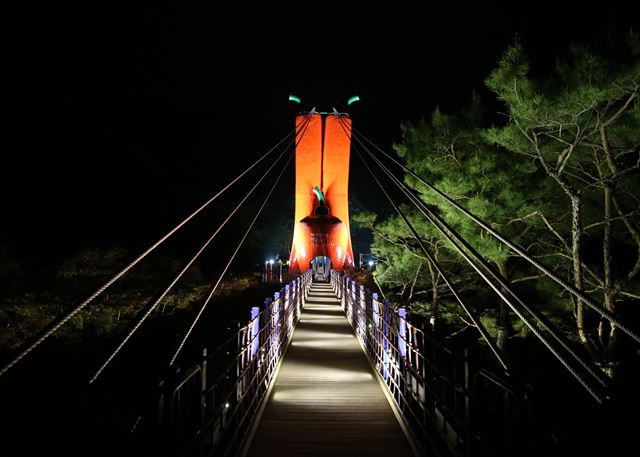 충남 청양 천장호 출렁다리 야경. 청양군 제공