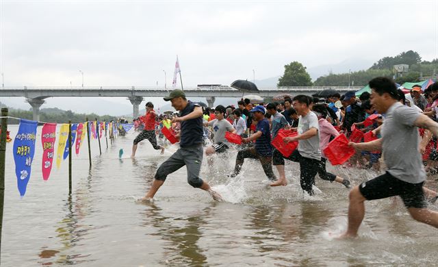 피서 절정기인 내달 21일부터 23일까지 열리는 ‘섬진강 황금재첩축제’는 대한민국 대표 여름축제로 자리를 잡았다. 하동군 제공