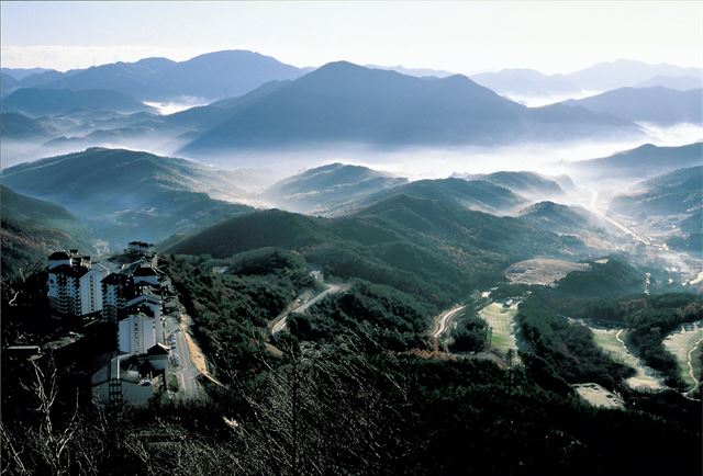 청정 고원인 강원 태백시는 항노화 산업 육성의 적지 가운데 한 곳으로 평가되고 있다. 태백시 제공