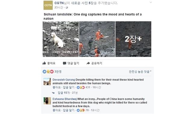 CGTN이 사회관계망서비스(SNS) 페이스북 계정에 공유한 개의 사진에 '좋아요' 3만 개가 달리며 충격과 감동을 전했다. CGTN 페이스북 캡처