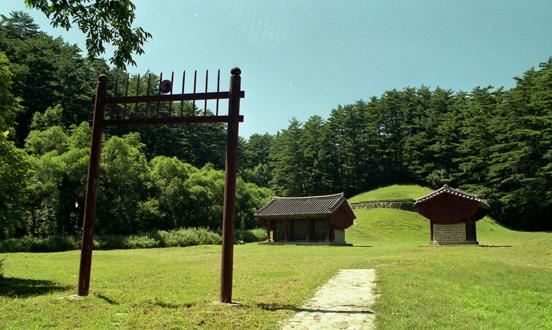 강원 삼척시는 조선 태조 이성계의 5대조인 양무장군의 묘역인 준경묘와 금강송 군락지 일대에 93㏊ 규모의 대형 힐링 숲을 조성할 계획이다. 삼척시 제공