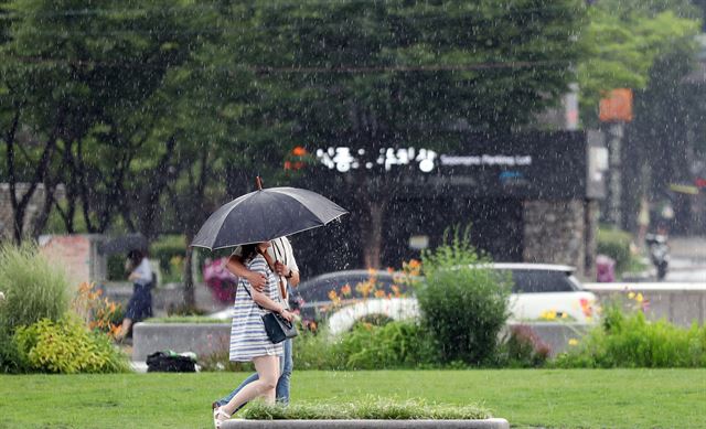 가뭄으로 전국이 몸살을 앓고 있는 25일 저녁 서울 광화문 광장에 짧은 소나기가 내리고 있다. 연합뉴스