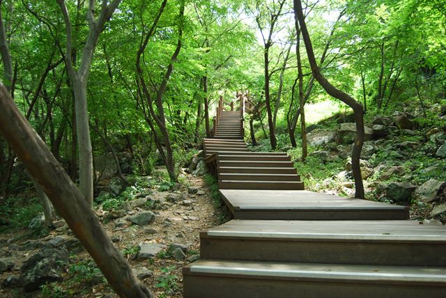 양산8경의 하나인 대운산자연휴양림 산책로.