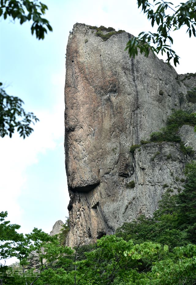 길쭉한 얼굴 모양의 급수대.