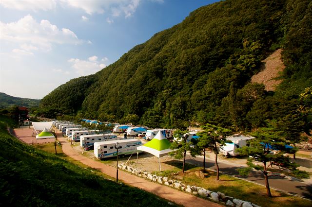 경북 영천시 치산캠핑장에 늘어선 캐러반. 영천시 제공