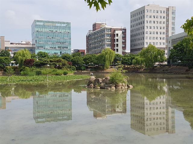 전남대 용지 주변 전경.