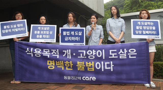 동물권단체 ‘케어’ 회원들이 초복인 12일 서울 서초구 서울중앙지검에 개고기 판매 업주와 종업원 등을 동물보호법 위반 등 혐의로 고발하기에 앞서 기자회견을 하고 있다. 연합뉴스