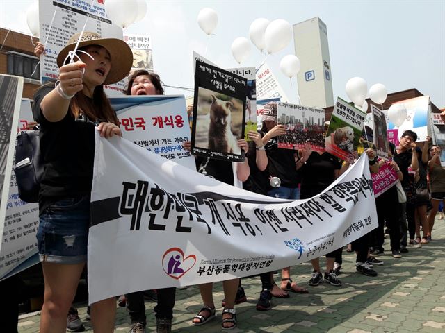 초복을 맞은 12일 오후 1시 부산동물학대방지연합과 동물자유연대 부산지부, 개인활동가 등 30여명이 부산 북구 구포시장에서 식육개 판매 중단과 지자체, 정부에 대책마련을 촉구하고 있다.