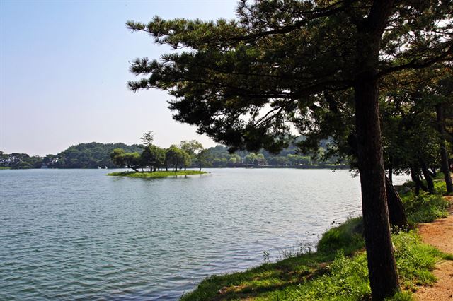 의림지의 물은 속이 보일 정도로 맑다. 언제부터 존재했는지 정확한 나이는 아무도 모른다