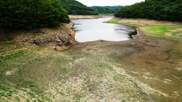 포항, 경주 등 경북 동해안 일대 가뭄이 계속되면서 포항 남구 오천읍 오어저수지 바닥이 거북이 등처럼 갈라져 있다. 포항 남구 오천읍과 청림동 지역 보조수원인 오어지 저수율은 25% 밖에 되지 않는다. 김정혜기자 kjh@hankookilbo.com