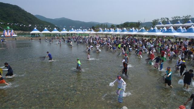 지난해 열린 영덕 황금은어축제. 영덕군 제공