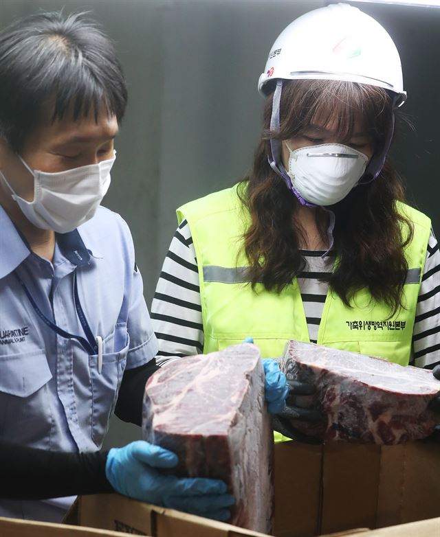 20일 오후 경기도 용인시의 한 냉동창고에서 농림축산검역본부 검역관이 미국산 쇠고기 검역작업을 하고 있다. 농림축산식품부는 미국에서 5년 만에 광우병으로 의심되는 소가 발견됨에 따라 현물검사 비율을 3%에서 30%로 늘리는 등 검역을 강화했다. 2017.7.20 용인=연합뉴스