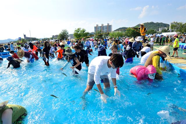 봉화은어축제. 경북도 제공