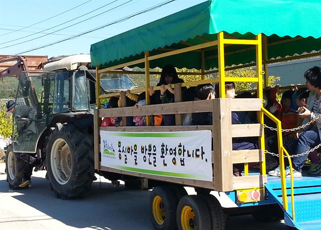 여름휴가를 즐기기 위해 휴가객들이 일직면 몽실마을에서 트랙터 탐방 체험을 하고 있다. 안동시 제공.