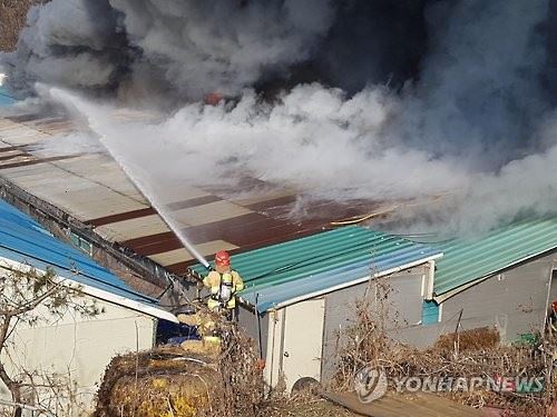 축사 화재 현장에서 소방관이 진화작업을 하고 있다. 연합뉴스