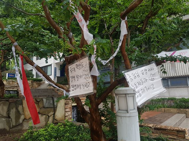 서울 용산구 숙명여대 제 1캠퍼스에 붙어있는 문구들. 숙명여대는 지난달 27일 학교, 용역업체, 노동자 측이 모여 협의 시간을 가졌다. 학생들은 비정규직 청소·경비 노동자의 처우 개선을 요구하는 930여개의 서명을 학교 측에 전달했다. 김빛나 인턴기자