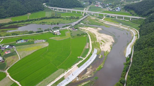 영주댐에서 방류한 물이 흐르는 내성천의 가장자리 곳곳이 가축분뇨 찌꺼기로 인해 시커멓게 변해 있다. 내성천보존회 제공