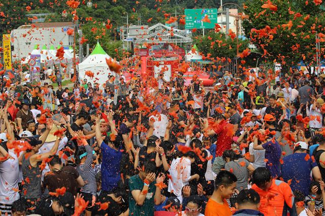 4일 강원 화천군 사내면 문화마을에서 열린 '2017 화천 토마토축제'에서 참가자들이 토마토를 던지며 즐거워하고 있다. 2017.8.4 화천=연합뉴스