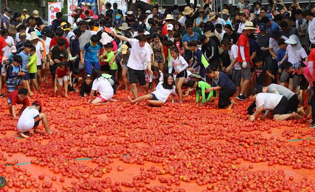 4일 강원 화천군 사내면 문화마을에서 열린 '2017 화천 토마토축제'에서 참가자들이 토마토 풀장으로 달려가고 있다. 2017.8.4 화천=연합뉴스