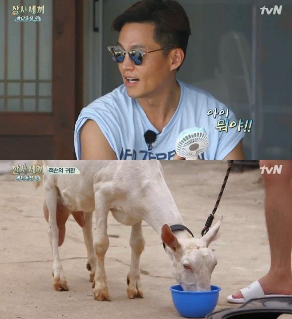 산양 잭슨이 '삼시세끼 바다목장 편'에 합류했다. tvN '삼시세끼 바다목장 편' 캡처