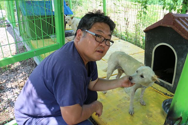 보호소 관리를 담당하는 제주 동물위생시험소의 조성철 수의사가 새끼를 돌보는 어미개를 쓰다듬고 있다.