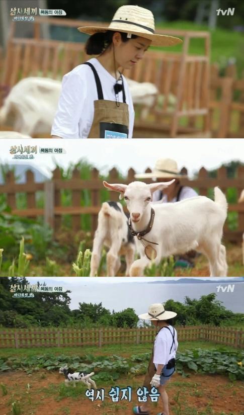 한지민이 바다목장에 방문했다. '삼시세끼' 캡쳐